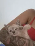 Tel