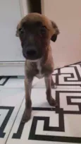 Lola