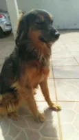 Trufa