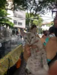 Lili