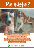 Não tem nome
