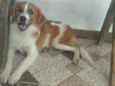 Não tem nome