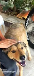 Boris