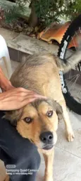 Boris 