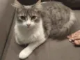 Joaquim