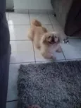 Ted