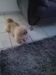 Ted