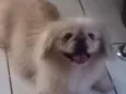 Ted