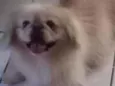 Ted