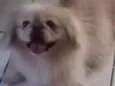 Ted