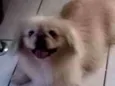 Ted