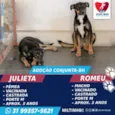 ROMEU E JULIETA