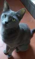 ZUZÚ