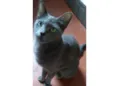 ZUZÚ