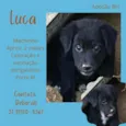 Luca