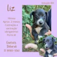 Liz