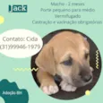Jack