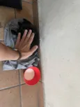 bombom