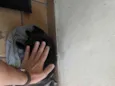 bombom