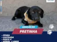 PRETINHA