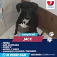 JACK