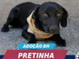 PRETINHA