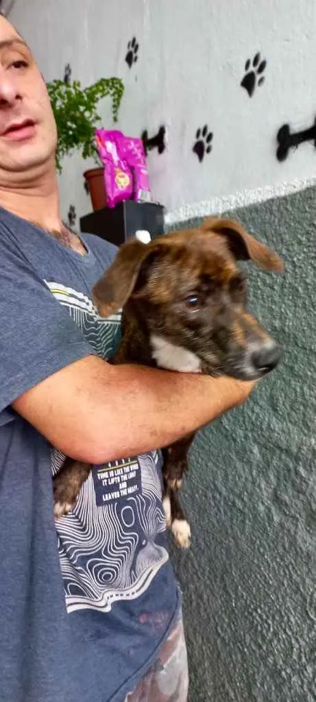 Molly Linda bb8meses