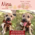 Nina