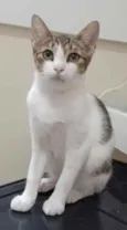 Frida
