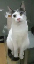 John