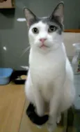 John