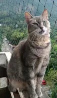 EVELYN