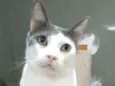 John
