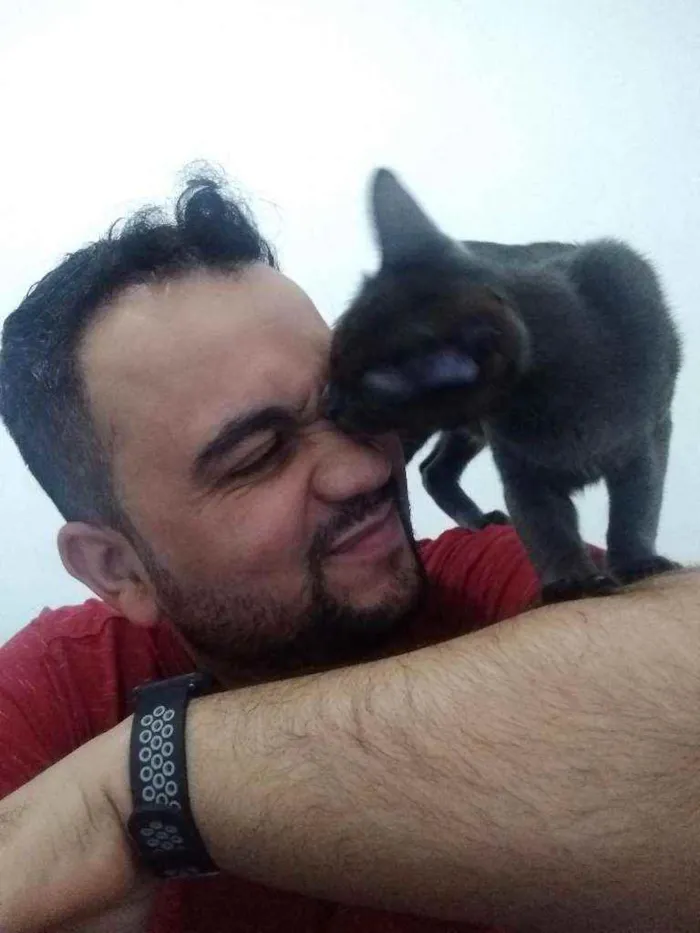 Gato ra a Não conheço idade 1 ano nome Kitana e Mileena