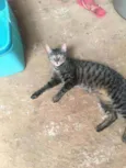 Sebastião