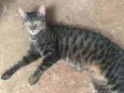 Sebastião