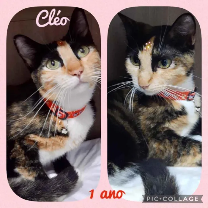 Cléo 