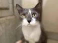 Mulan