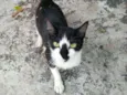 Mimi