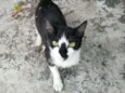 Mimi