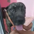Zeus