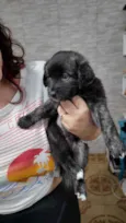 Rony