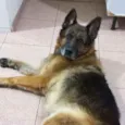 Átila