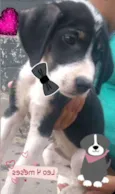 Léo 