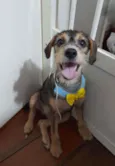 Bruce