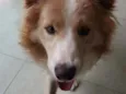 Hunter