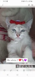 Linda