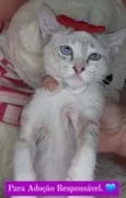 Linda