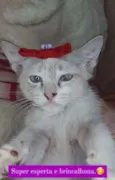Linda