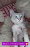 Linda